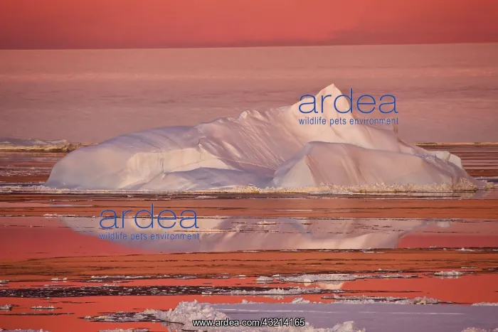 : Huge iceberg and ice floes in the ocean : Huge iceberg and ice floes in the ocean