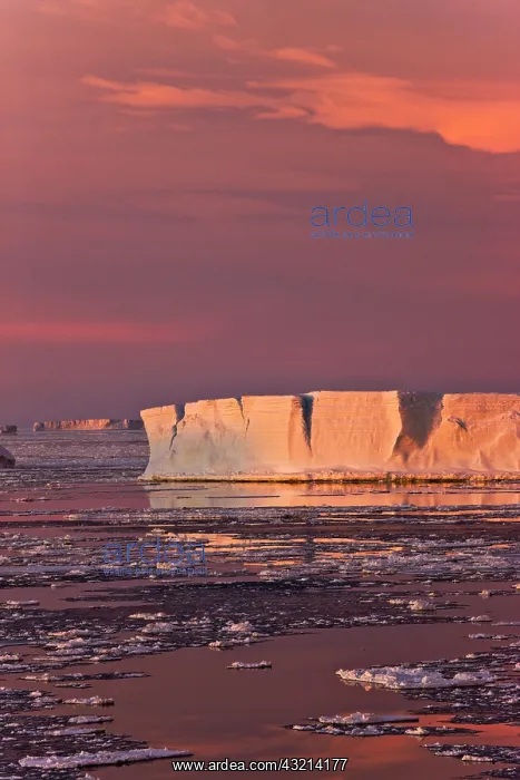  : Huge iceberg and ice floes in the ocean