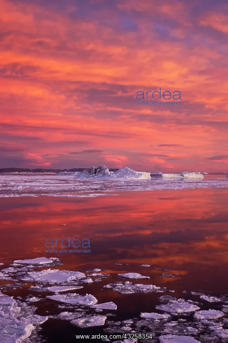  : Huge iceberg and ice floes in the ocean