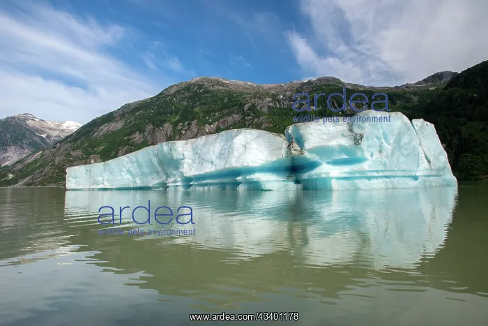 : Huge iceberg slowly melts in Shakes Lake : Huge iceberg slowly melts in Shakes Lake