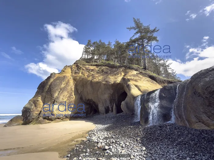 : Hugpoint Falls, Hug Point State Recreation Site : Hugpoint Falls, Hug Point State Recreation Site