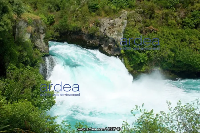: Huka Falls - water masses of Waikato river rushing : Huka Falls - water masses of Waikato river rushing