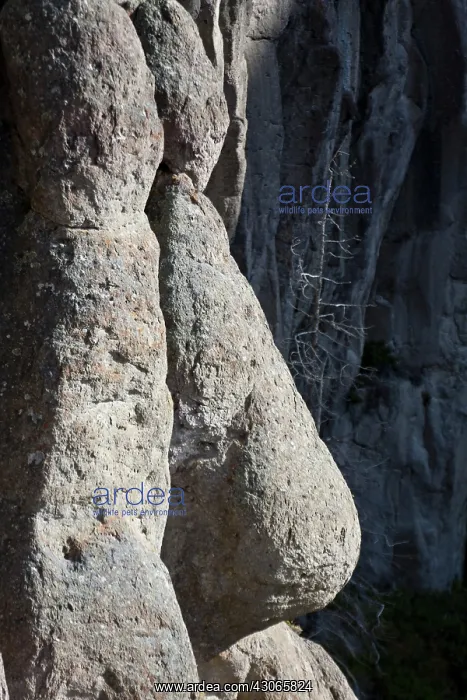 : Human Face in rock wall : Human Face in rock wall