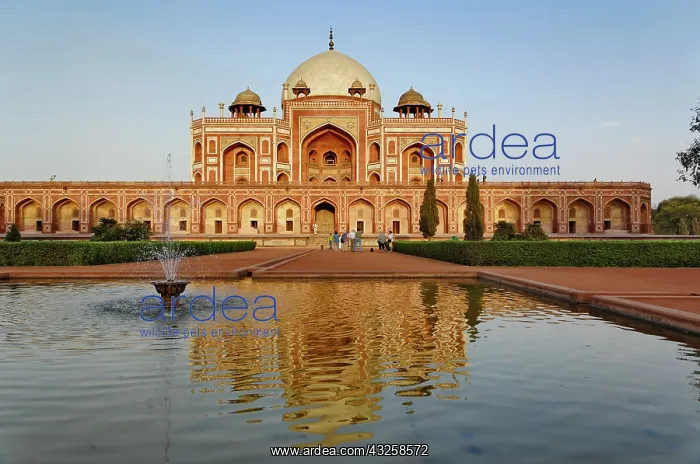 : Humayun's Tomb, a complex of Mughal architecture : Humayun's Tomb, a complex of Mughal architecture