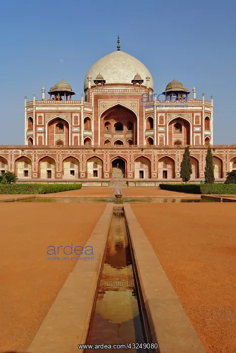 : Humayun's Tomb / Delhi, India : Humayun's Tomb / Delhi, India
