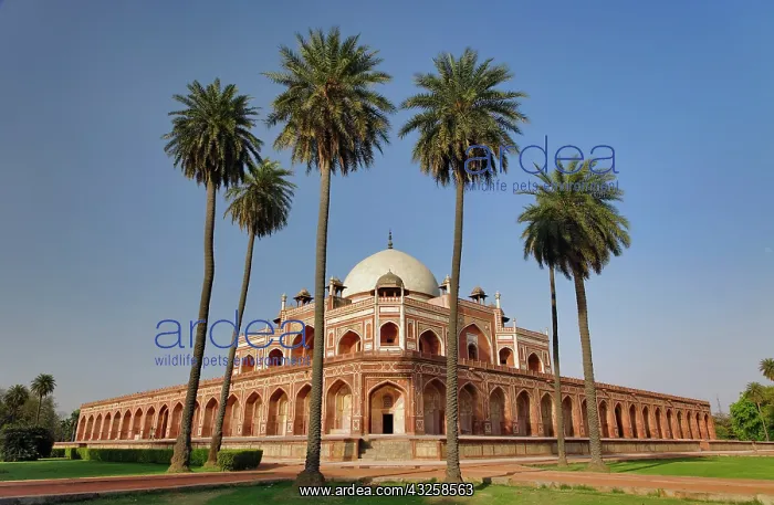 : Humayun's Tomb, Delhi, India : Humayun's Tomb, Delhi, India