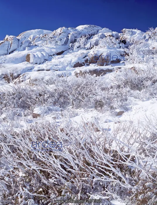 : The Hump with winter snow : The Hump with winter snow