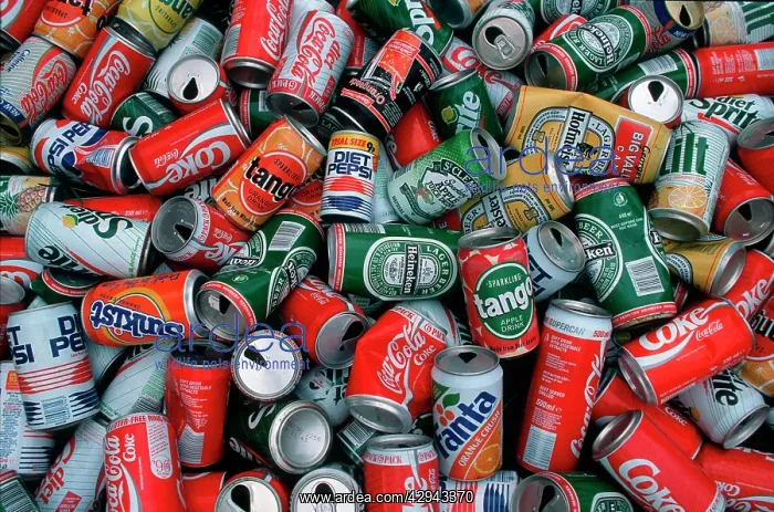  : Hundreds of aluminium cans collected for recycling