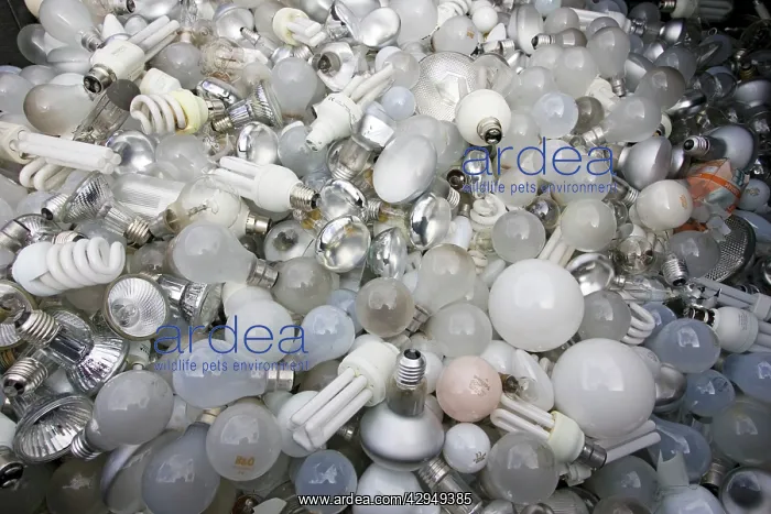 : Hundreds of used light bulbs and low energy lamps : Hundreds of used light bulbs and low energy lamps