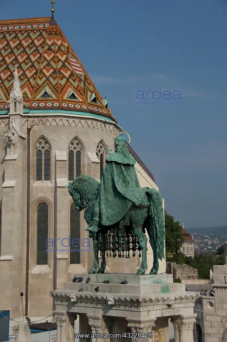: Hungary, Budapest, Castle Hill, Fisherman's : Hungary, Budapest, Castle Hill, Fisherman's