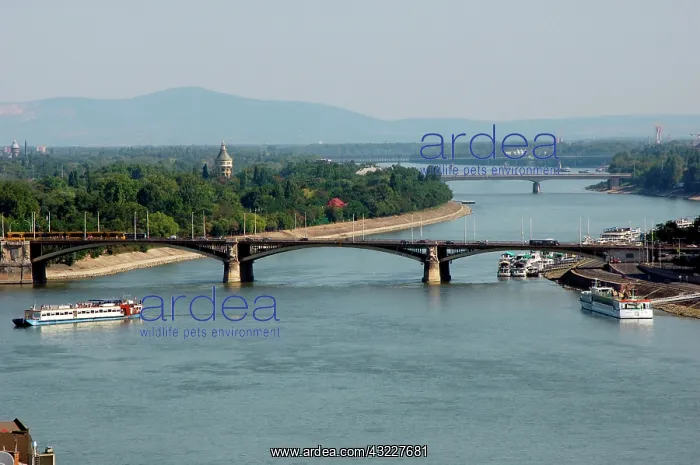 : Hungary, Budapest. Danube river : Hungary, Budapest. Danube river