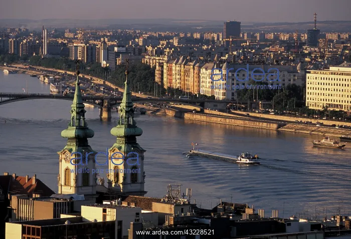: Hungary, Budapest. Danube River, Margit : Hungary, Budapest. Danube River, Margit