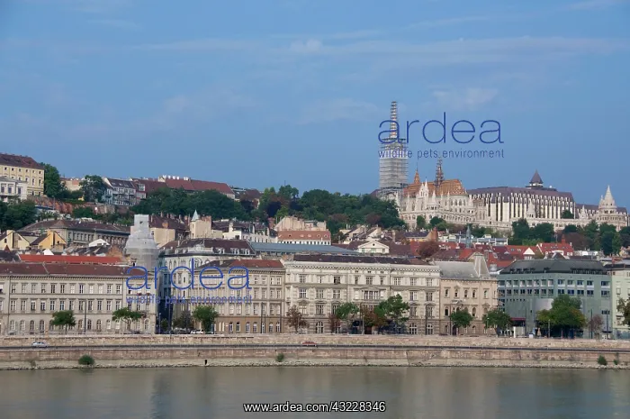 : Hungary, Budapest. Early morning view from : Hungary, Budapest. Early morning view from