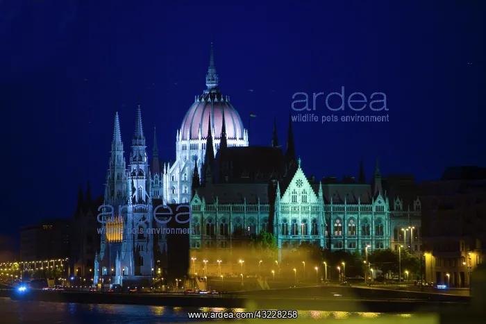 : Hungary, Budapest. Nighttime overview of : Hungary, Budapest. Nighttime overview of