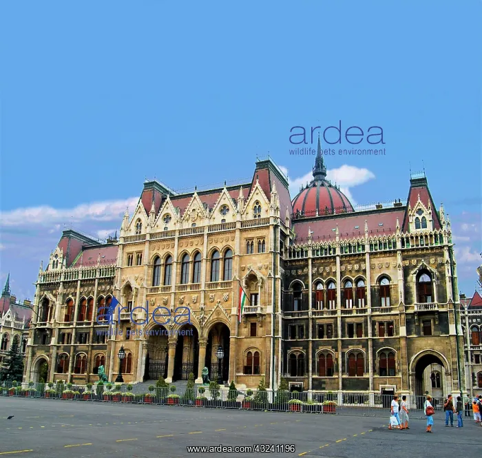 : Hungary, Budapest, Parliament Building : Hungary, Budapest, Parliament Building