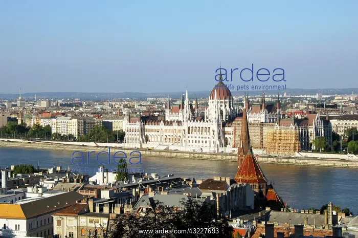 : Hungary, Budapest. River Danube with the : Hungary, Budapest. River Danube with the