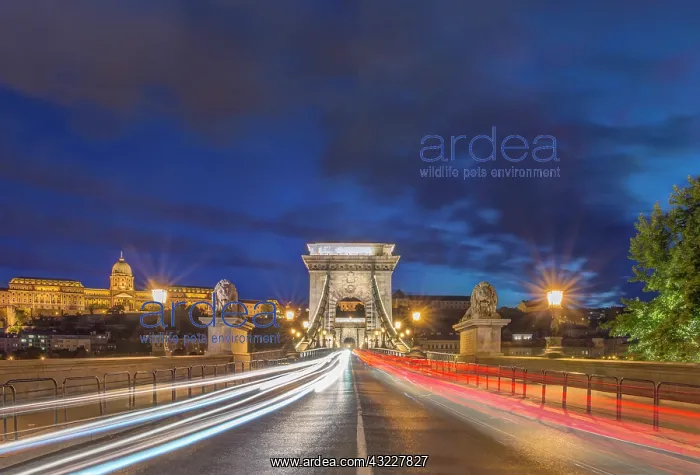  : Hungary, Budapest, Twilight Chain Bridge