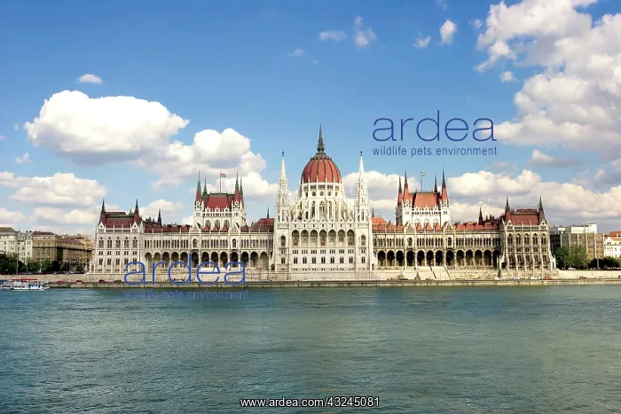 : Hungary, Budapest, View of the Parliament : Hungary, Budapest, View of the Parliament