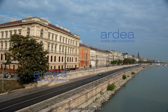 : Hungary, capital city of Budapest. Buda : Hungary, capital city of Budapest. Buda
