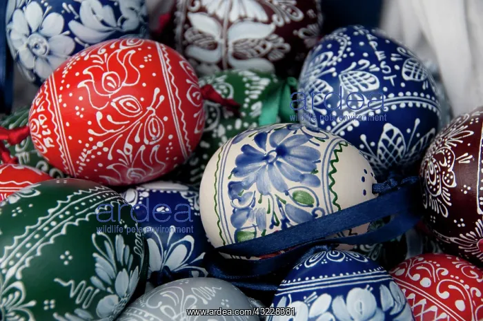 : Hungary, capital city of Budapest. Traditional : Hungary, capital city of Budapest. Traditional