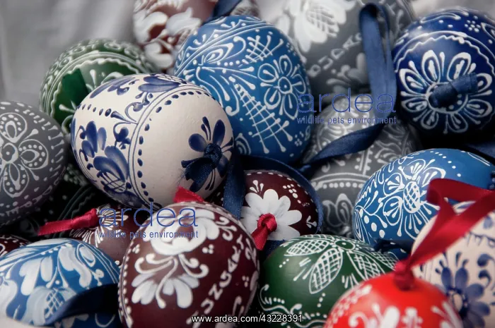 : Hungary, capital city of Budapest. Traditional : Hungary, capital city of Budapest. Traditional