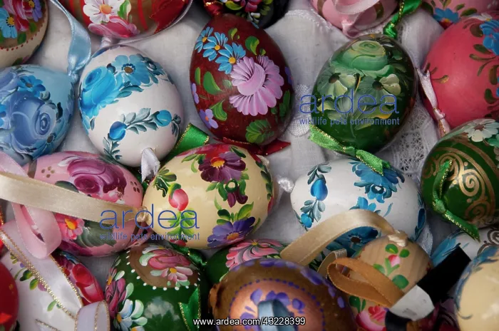 : Hungary, capital city of Budapest. Traditional : Hungary, capital city of Budapest. Traditional