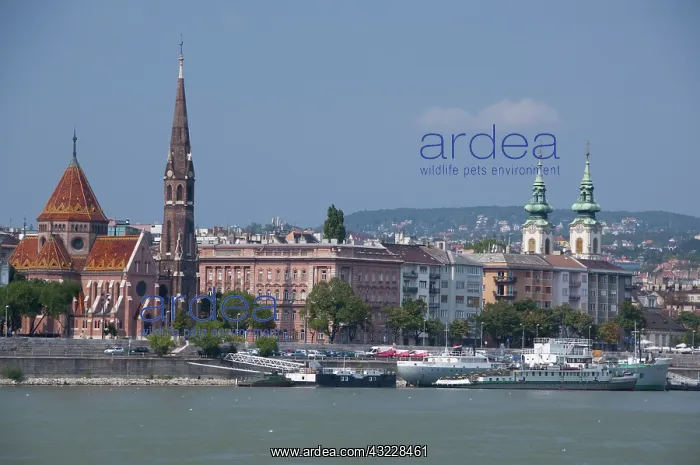  : Hungary, capital city of Budapest. View