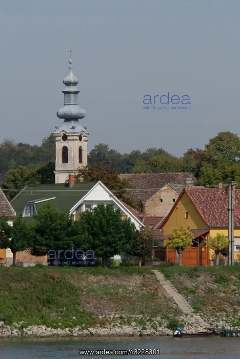 : Hungary. Danube River view near Kalocsa : Hungary. Danube River view near Kalocsa