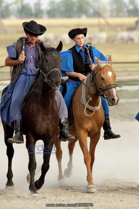 : Hungary, Kalocsa, Puszta region. Traditional : Hungary, Kalocsa, Puszta region. Traditional