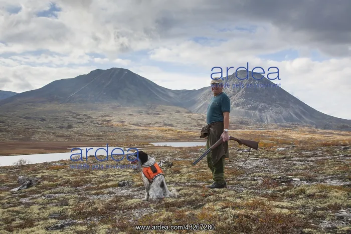 : Hunter with English Setter in the mountains - Grouse : Hunter with English Setter in the mountains - Grouse