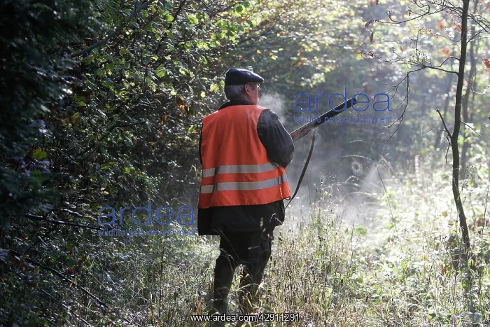 : Hunter - with gun watching for game : Hunter - with gun watching for game