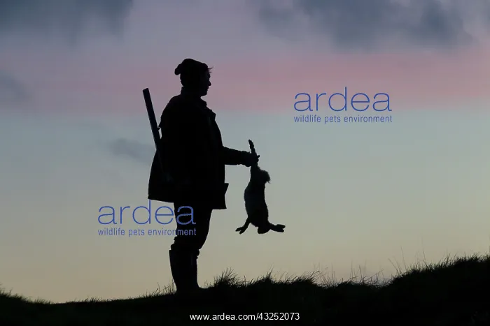 : Hunter hare Hunter with dead brown Hare silhouetted agai : Hunter hare Hunter with dead brown Hare silhouetted agai