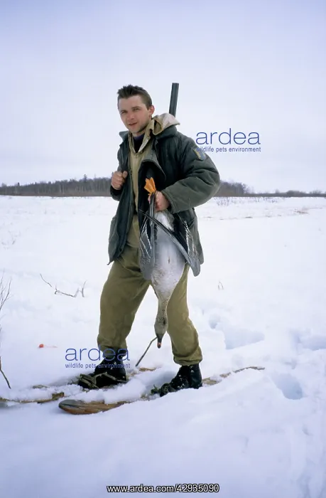 : Hunter with shot wild goose (Bean goose) : Hunter with shot wild goose (Bean goose)