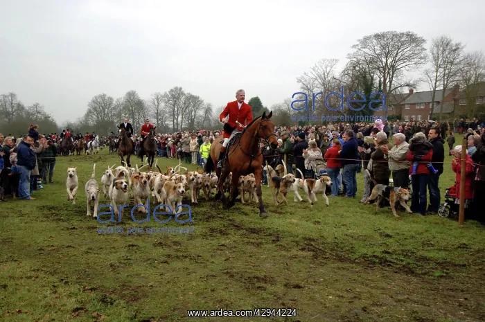 : Hunting - Bicester and Whaddon Christmas Chase Hunt : Hunting - Bicester and Whaddon Christmas Chase Hunt