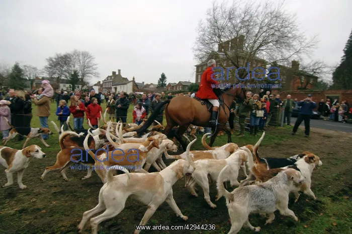 : Hunting - Bicester and Whaddon Christmas Chase Hunt : Hunting - Bicester and Whaddon Christmas Chase Hunt