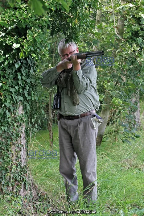 : Hunting - man with shotgun hunting for birds : Hunting - man with shotgun hunting for birds