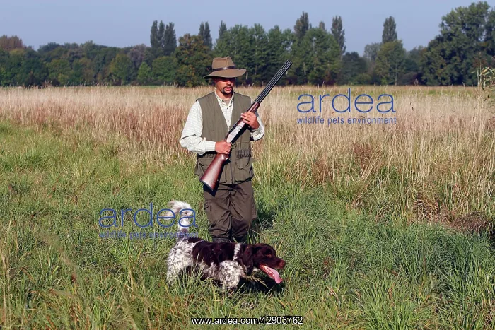 : Hunting / shooting - man with gun Dog and Small : Hunting / shooting - man with gun Dog and Small