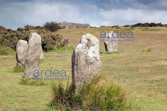 : Hurlers Stone Circle with Cheesewring beyond : Hurlers Stone Circle with Cheesewring beyond