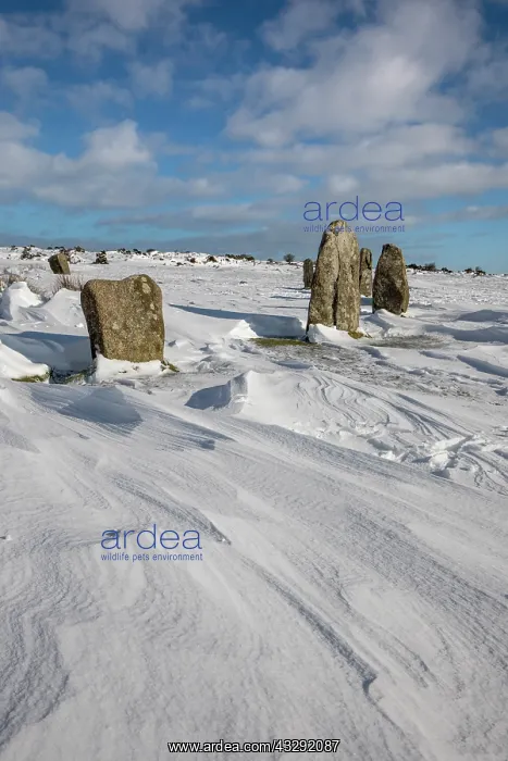: The Hurlers Stone Circle - Snow - Cornwall - UK : The Hurlers Stone Circle - Snow - Cornwall - UK