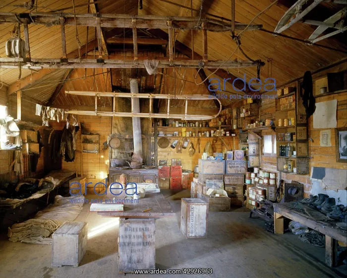 : Hut built in February 1908 by Ernest Shackelton's : Hut built in February 1908 by Ernest Shackelton's