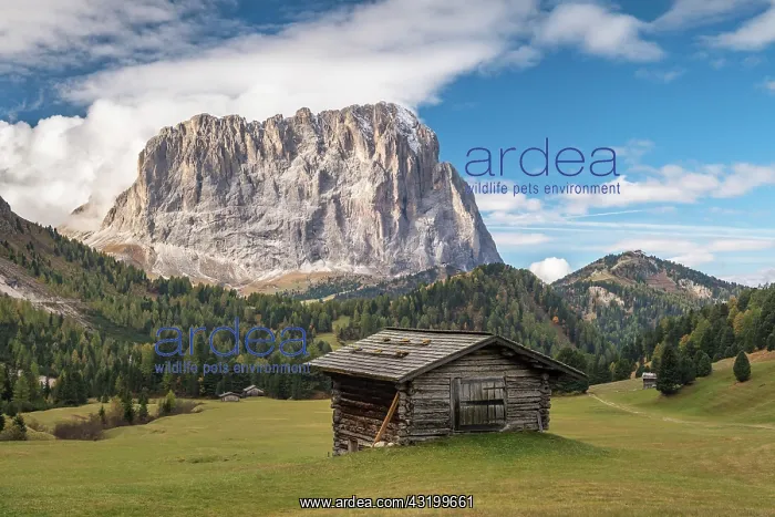 : Hut at Gr&, x1a4ba5;r Joch, Langkofel at the back : Hut at Gr&, x1a4ba5;r Joch, Langkofel at the back