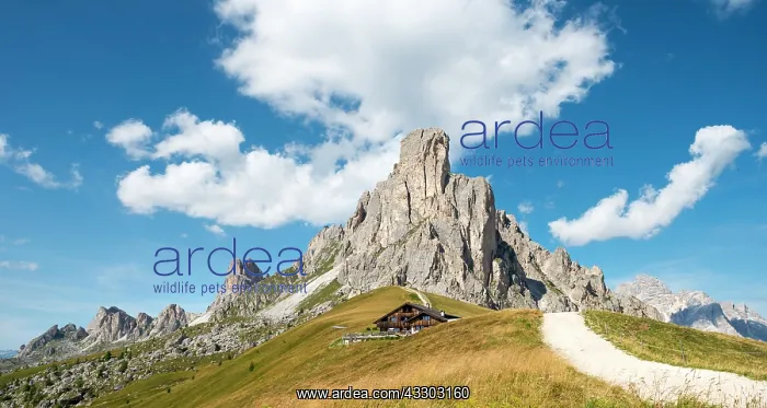 : Hut at Passo Giau with La Gusela peak, Averau, Dolomites : Hut at Passo Giau with La Gusela peak, Averau, Dolomites
