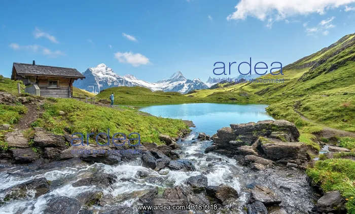 : Hut and stream at Bachalpsee, with summits of Schreckhorn : Hut and stream at Bachalpsee, with summits of Schreckhorn