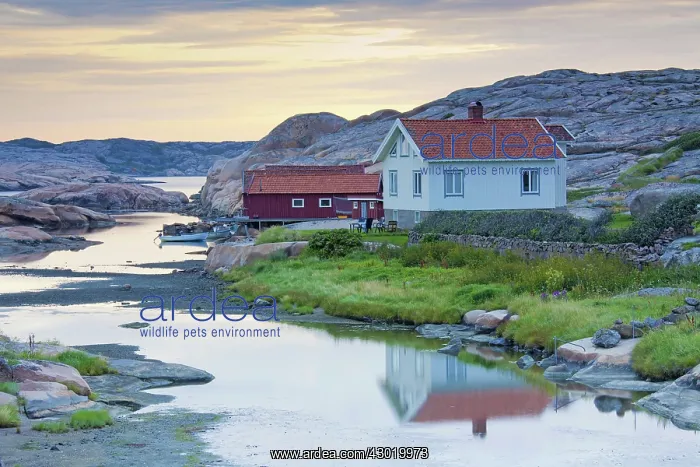  : Hut typical wooden cottage