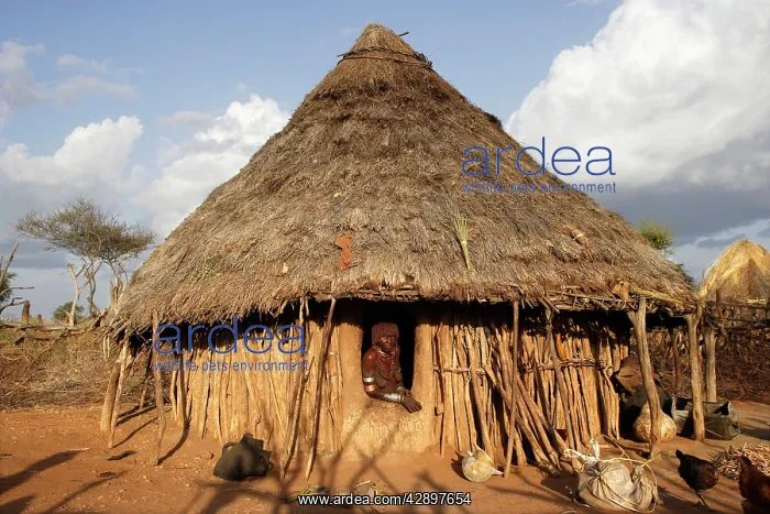 : Hut in village of the Hamer tribe : Hut in village of the Hamer tribe