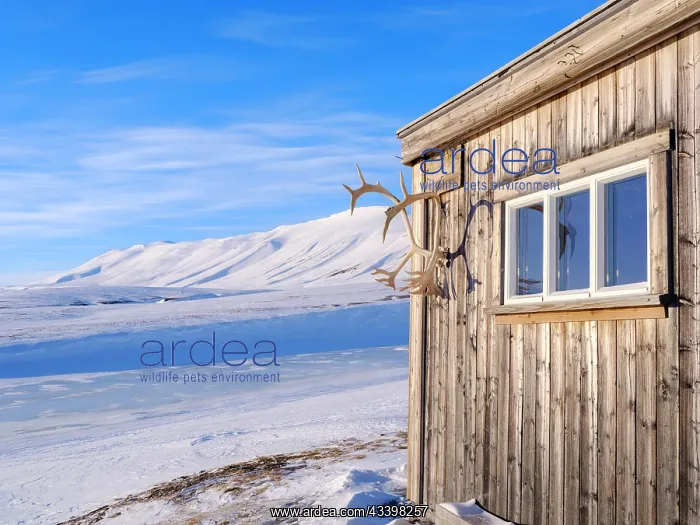: Huts called Semmelbu. Valley Semmeldalen during : Huts called Semmelbu. Valley Semmeldalen during