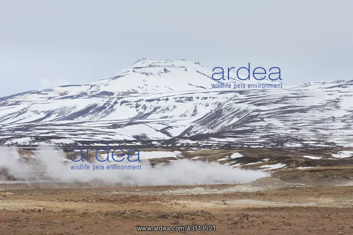 : Hverir is a geothermal area near Namafjall with : Hverir is a geothermal area near Namafjall with