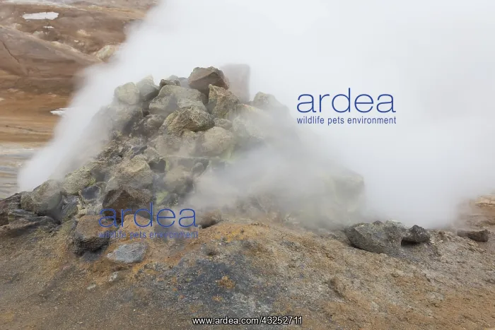  : Hverir is a geothermal area near Namafjall with