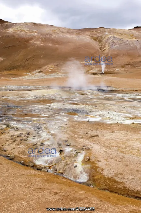 : Hverir geothermal fields at the foot of : Hverir geothermal fields at the foot of