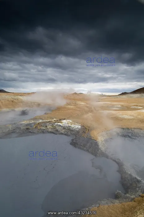 : Hverir geothermal fields at the foot of : Hverir geothermal fields at the foot of